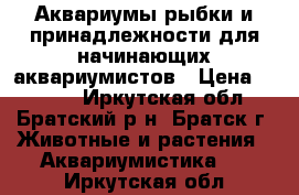 Аквариумы,рыбки и принадлежности для начинающих аквариумистов › Цена ­ 2 450 - Иркутская обл., Братский р-н, Братск г. Животные и растения » Аквариумистика   . Иркутская обл.